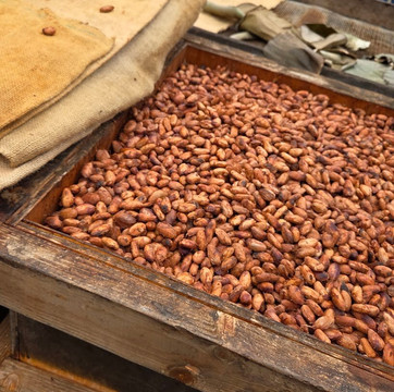 Hilo Shark Tours-帕派科欧必去景点