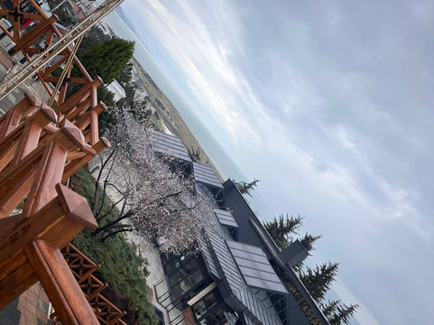 Amisos Tepesi-萨姆森必去景点