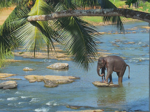 Ceylon Master Tours-Waskaduwa必去景点