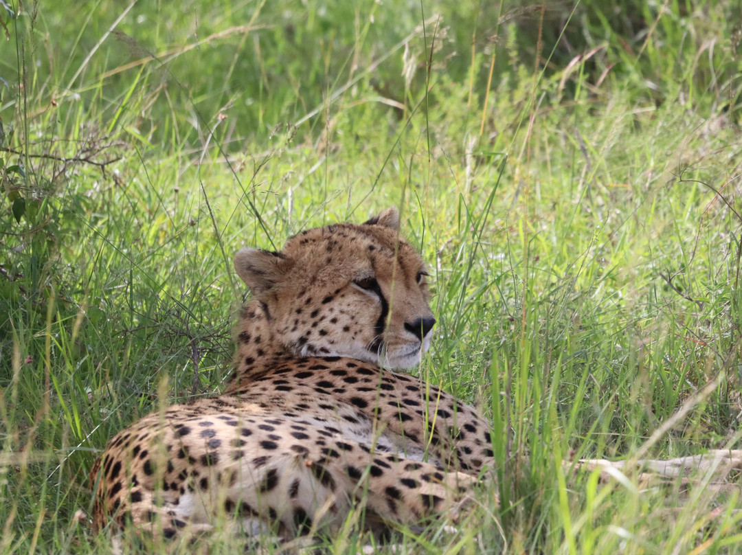 Siraam Tours and Travels-内罗毕必去景点