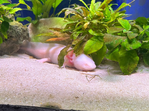 Regional Natural History Museum of Plovdiv-普罗夫迪夫必去景点