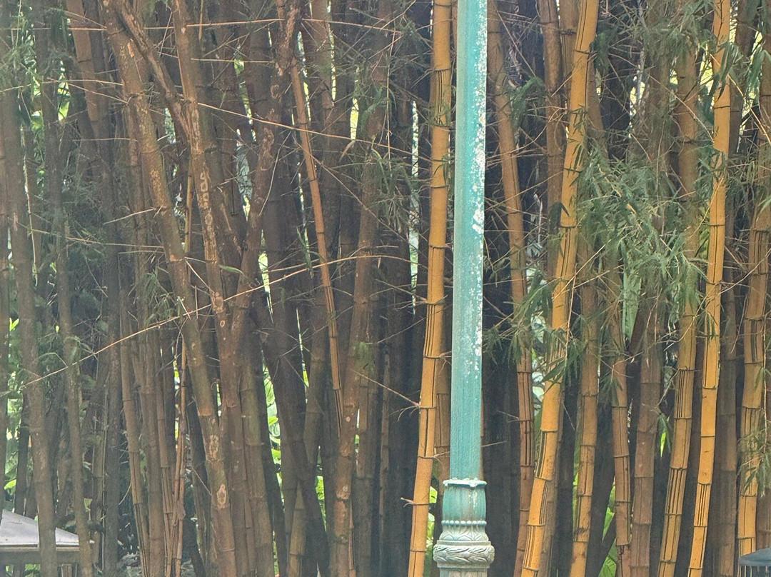 瓦西瓦植物园-瓦西瓦必去景点