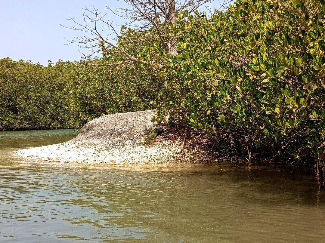 Lagune de la Somone-索蒙必去景点