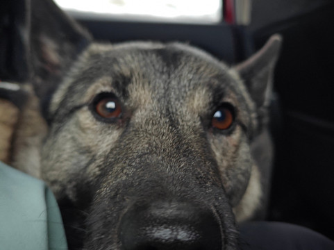 Lappi Creative-Kemijarvi必去景点