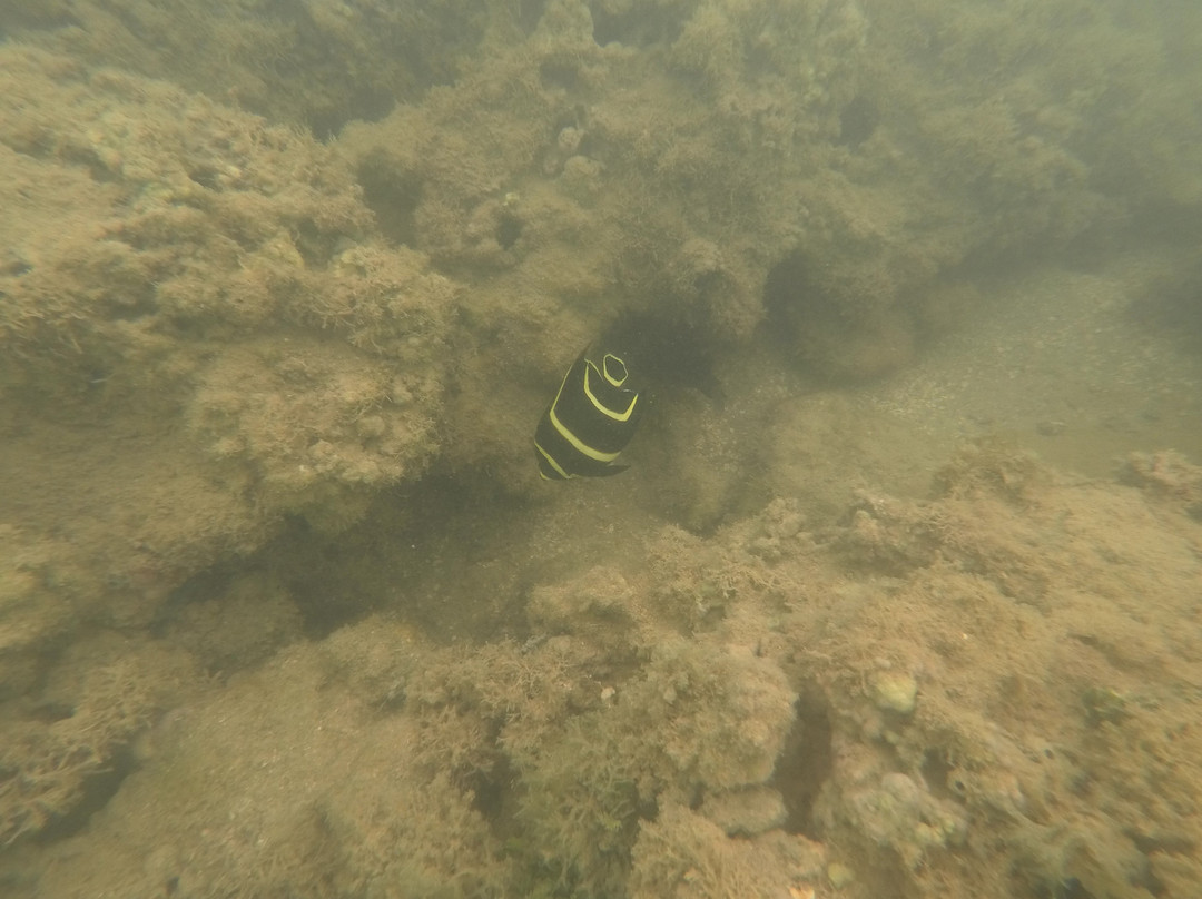 Caumar Corais-Japaratinga必去景点