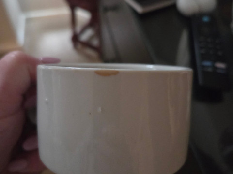 白天鹅酒店主图