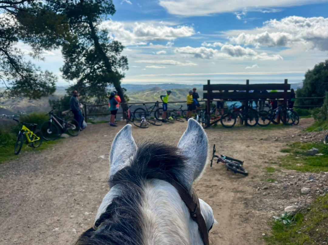 Ride With Me, Ride In Spain-Coin必去景点