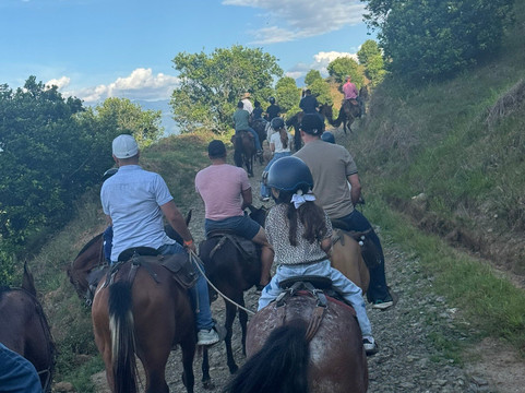 Cabalgatas El Carmelo-La Tebaida必去景点