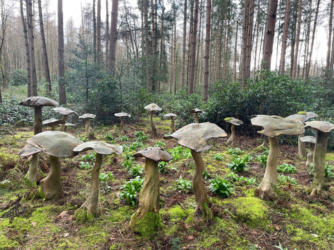 Northwood Trail Fairy Sanctuary-约克必去景点