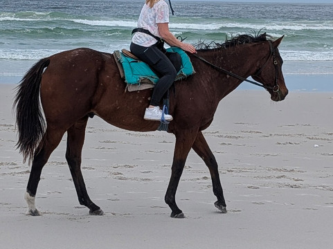 The Dunes Riding and Racing Stables-北角必去景点