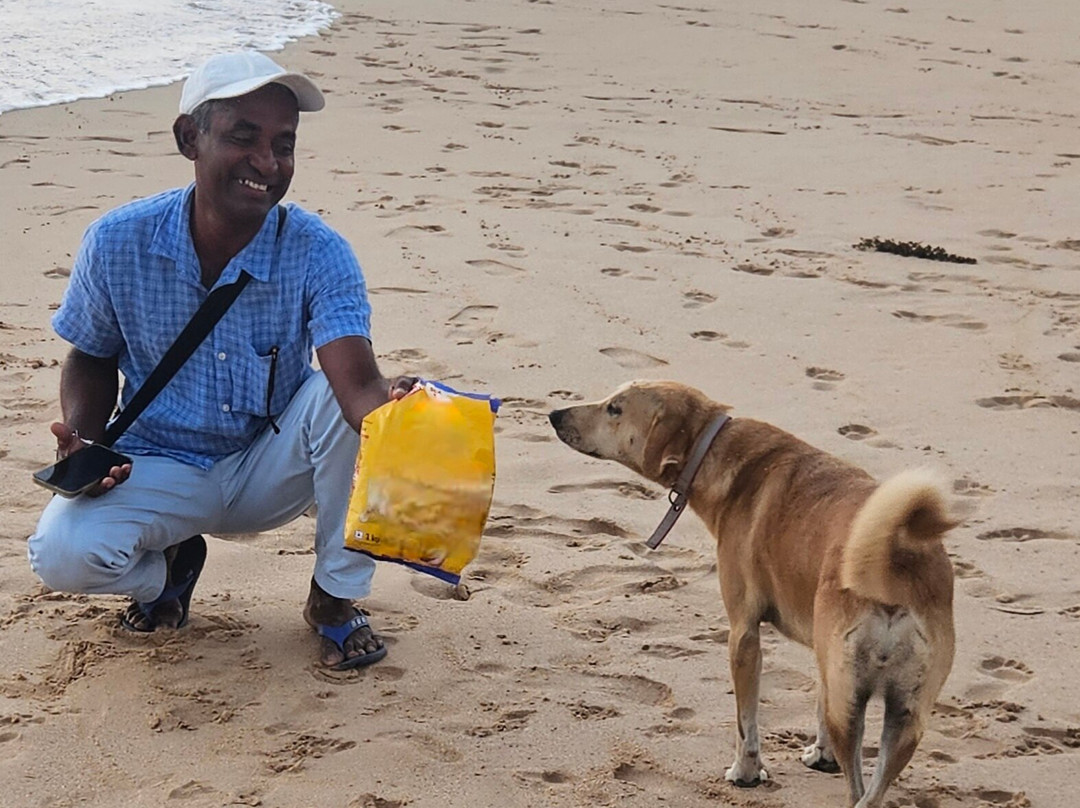 Charli Tours-亚洪加拉必去景点