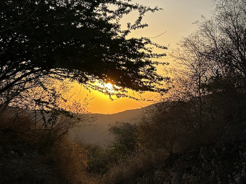 Travel With-阿格拉必去景点