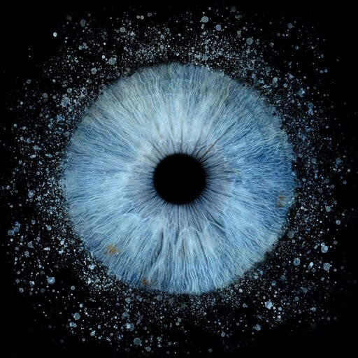 Iris Galerie Arnhem-阿纳姆必去景点