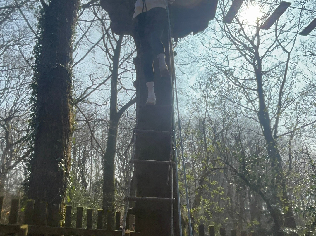Go Ape Rivington-博尔顿必去景点