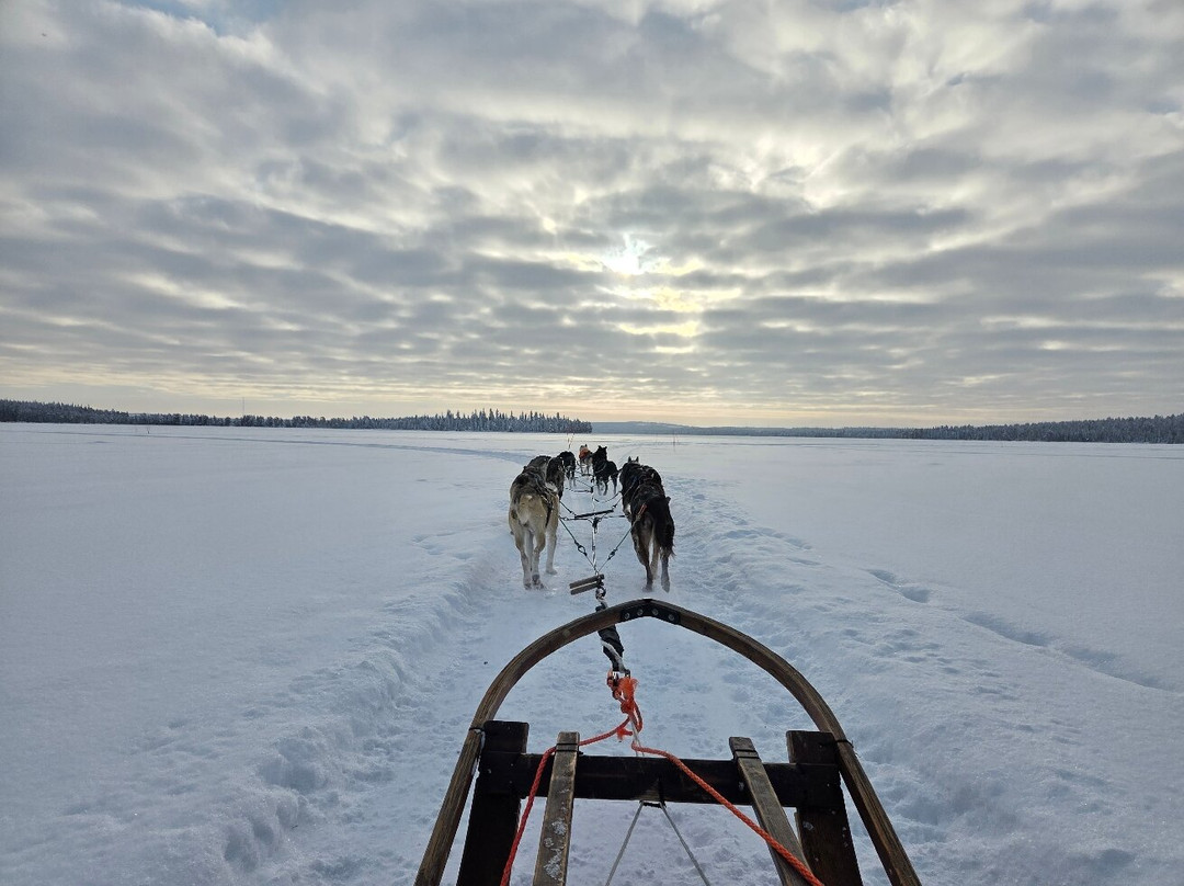 哈士奇雪橇之旅-罗瓦涅米必去景点