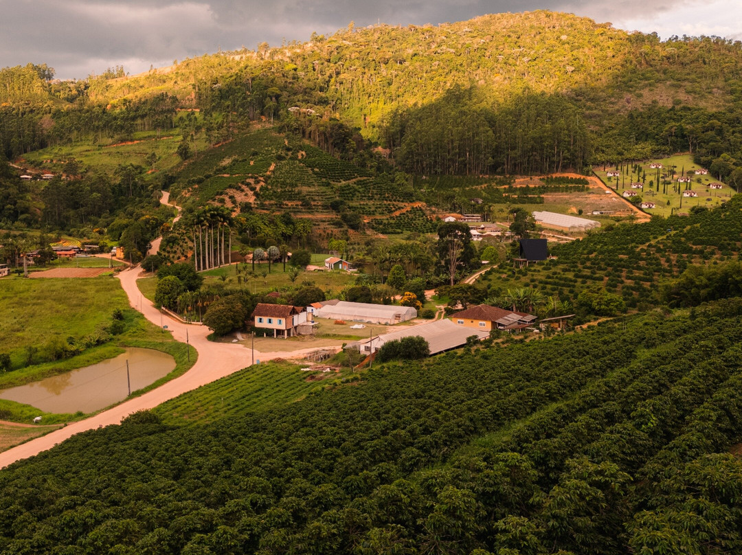 COFFEE TOUR EXPERIENCE NA ZANDONADE CAFÉS ESPECIAIS