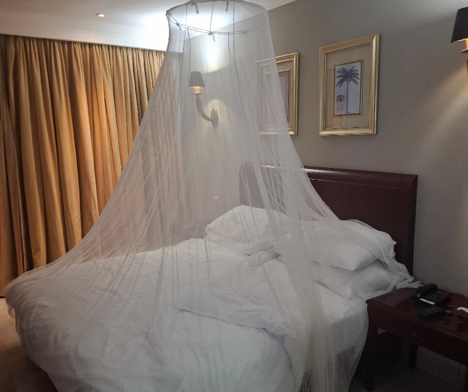 利文斯通Protea酒店主图