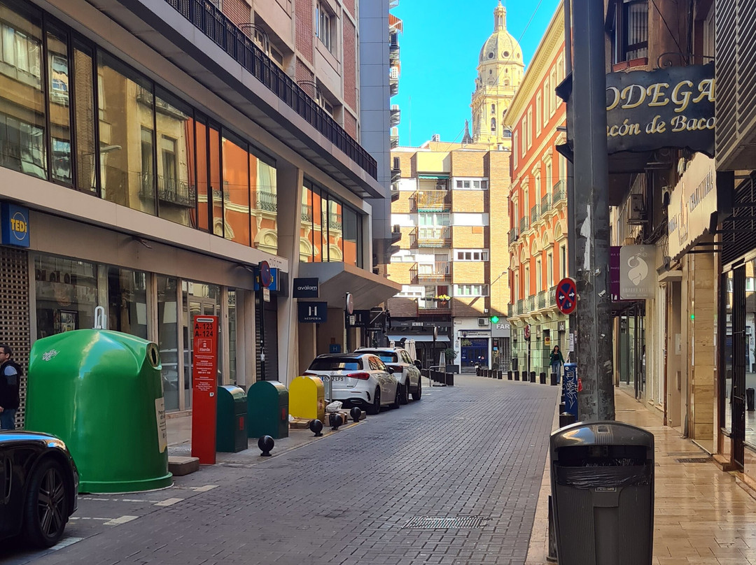 穆尔西亚霍斯波利亚酒店主图