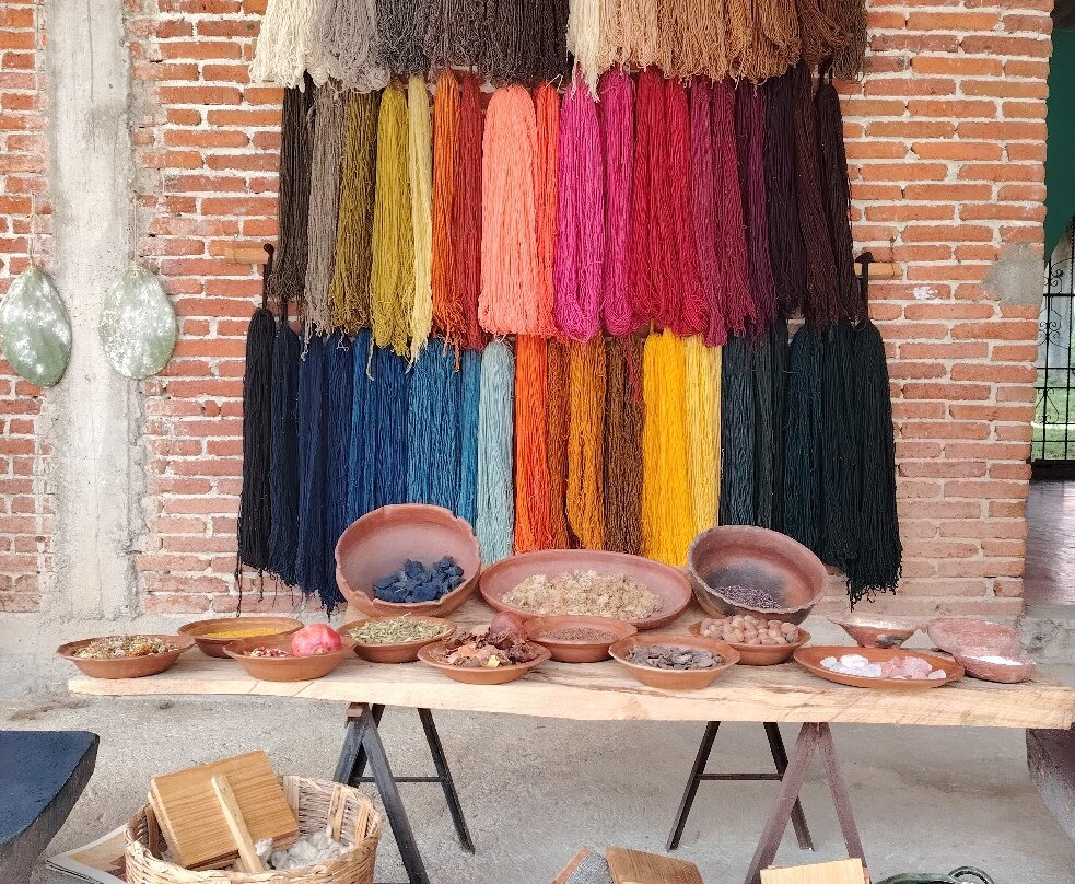 Oaxaca Experience Tours-瓦哈卡必去景点