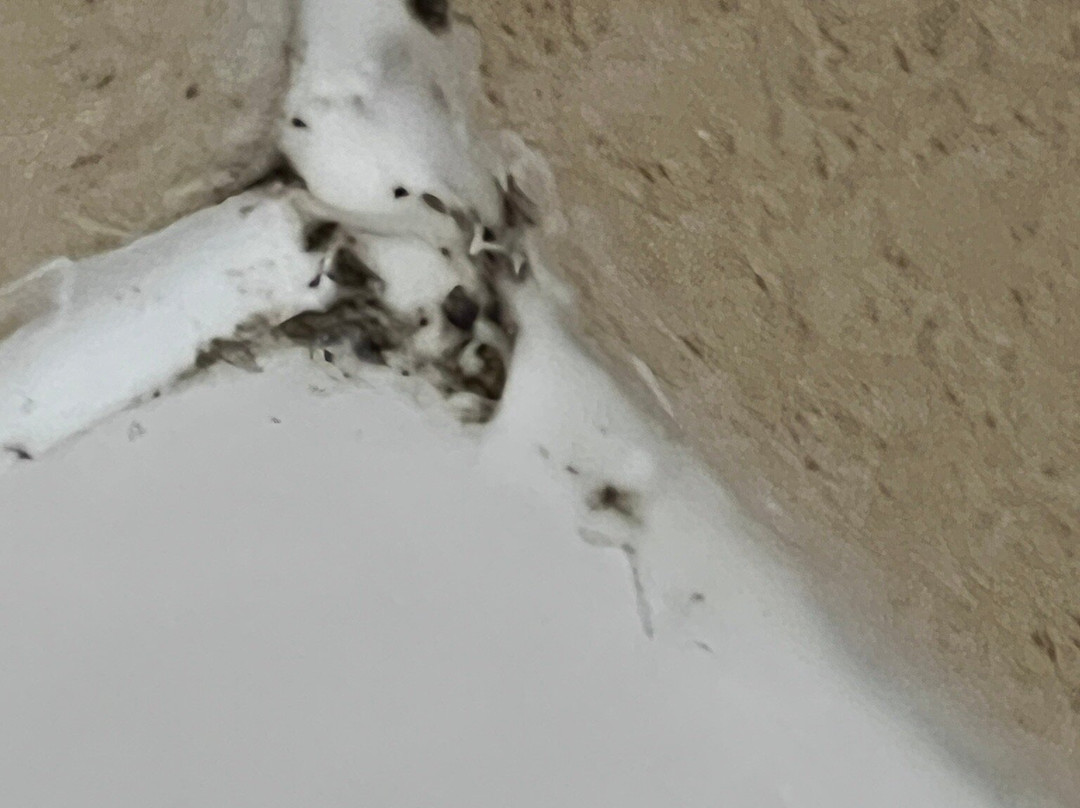 希尔顿欢朋套房酒店-韦尔斯湖主图