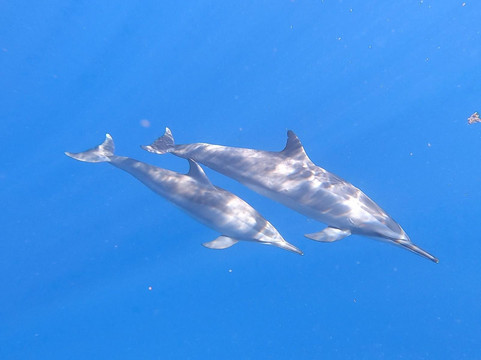 Lifestyle Boating Mauritius-贝尔欧布莱必去景点