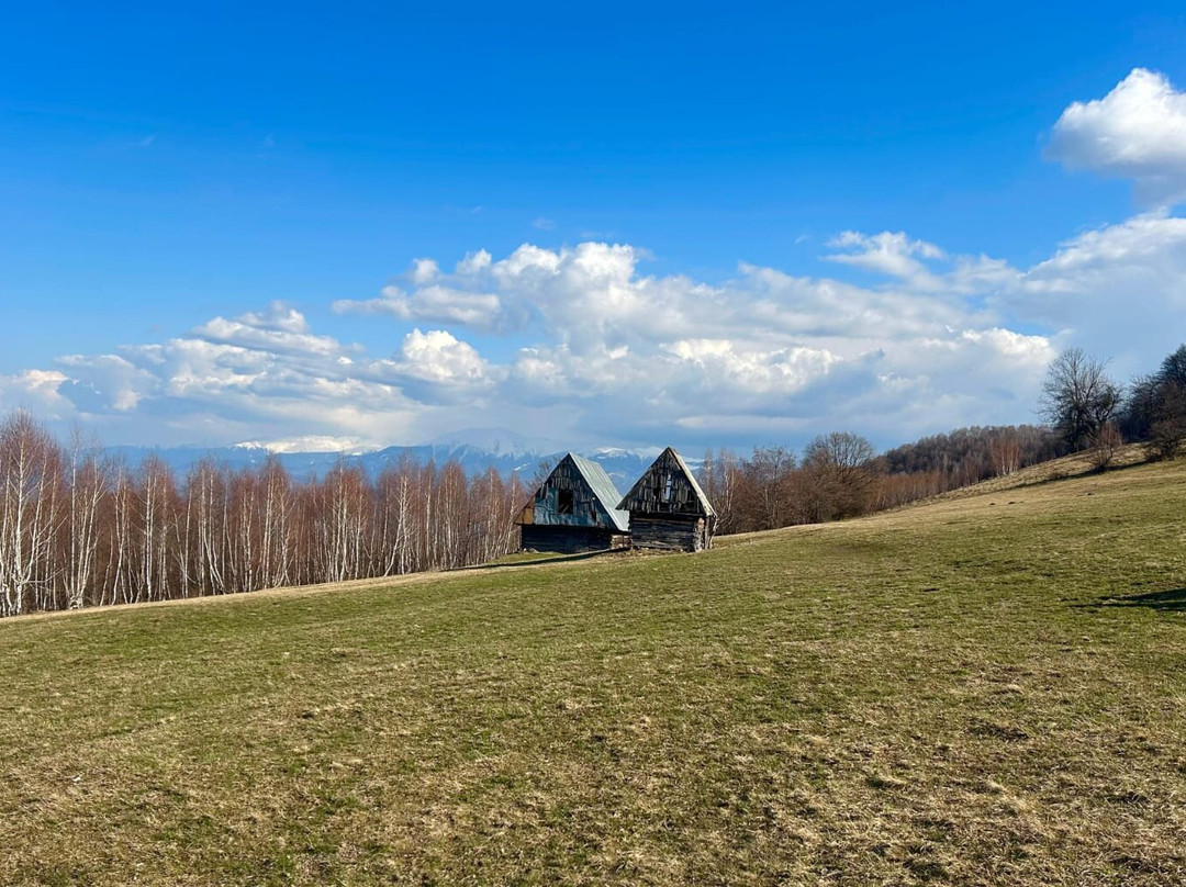 Sibiu Guide Nico-锡比乌必去景点