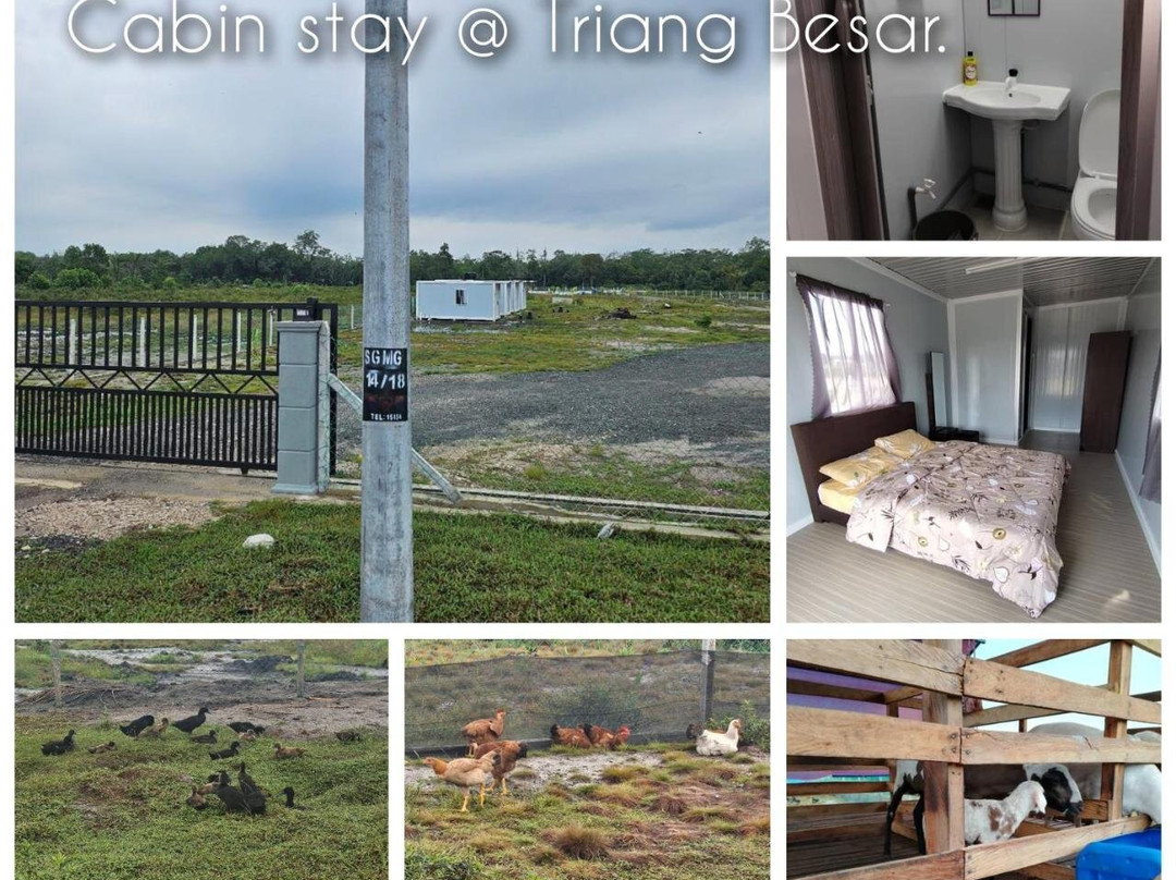 Cabin stay Triang Besar