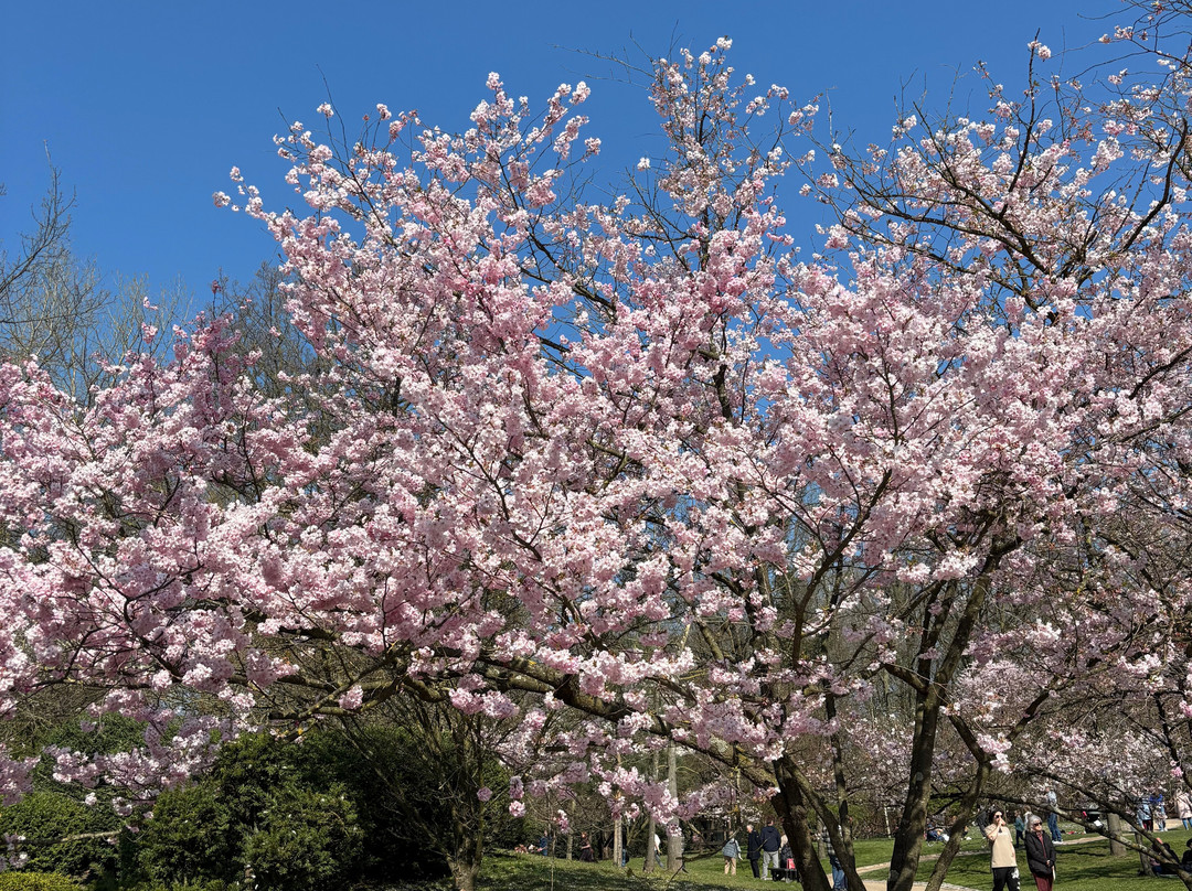 福鲁托夫住宿加早餐旅馆主图