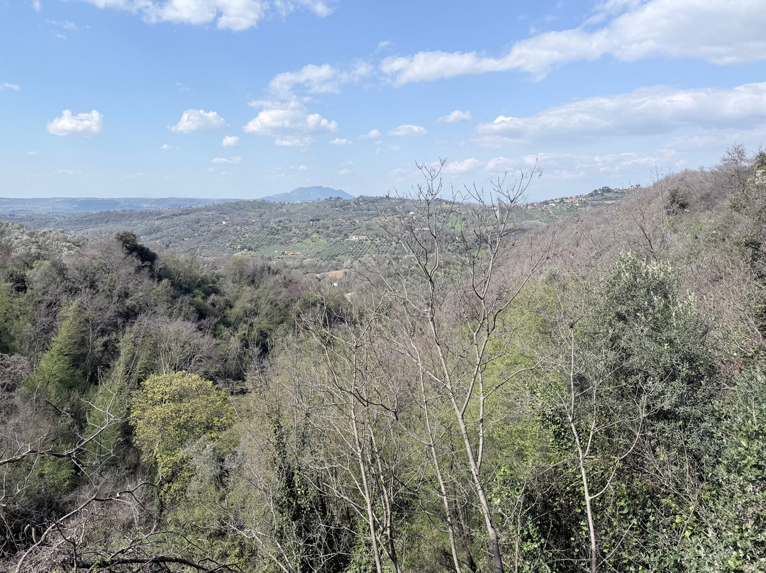 Italian Cooking Class and Olive Tour Experience-罗马必去景点