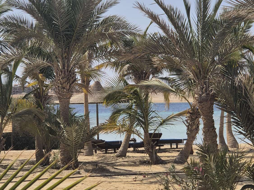 Apo Reef Natural Park-Sablayan必去景点