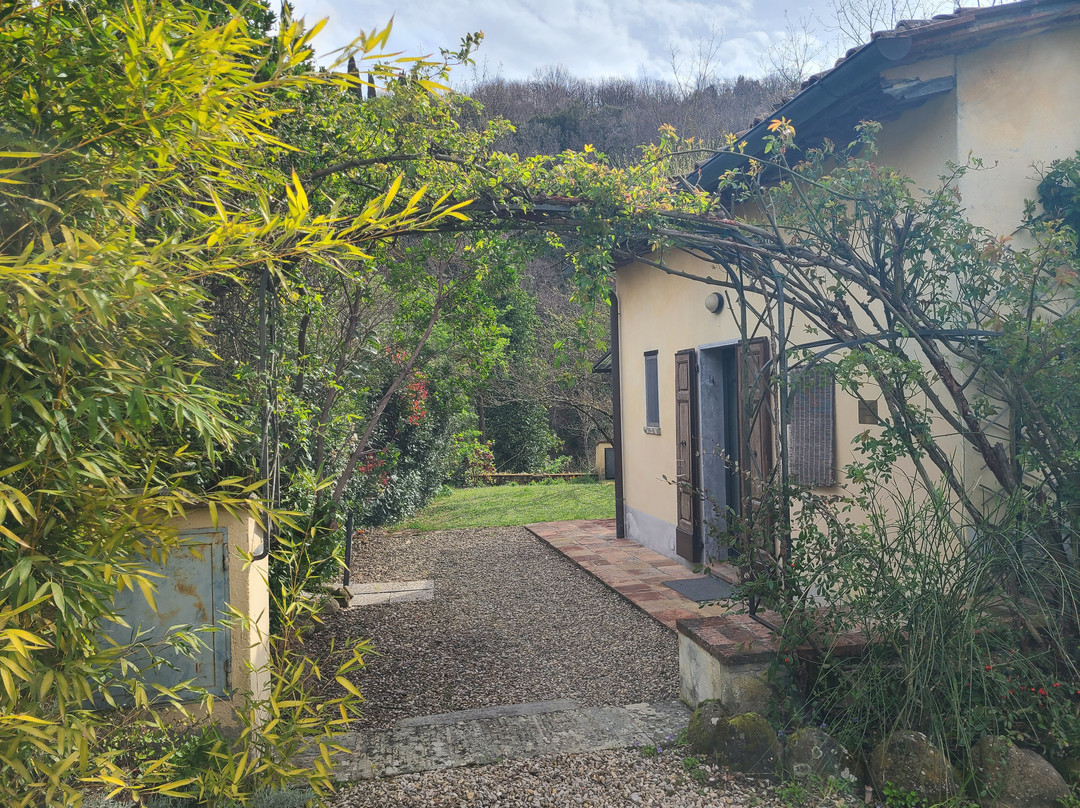 Il Cielo Bio - Il più Piccolo B&B del Chianti主图