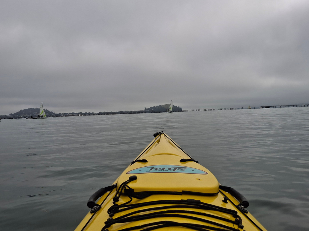 Fergs Kayaks Auckland-奥克兰中心地区必去景点
