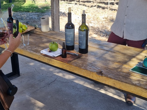 Finca El Paraíso - Bodega Luigi Bosca-Maipu必去景点