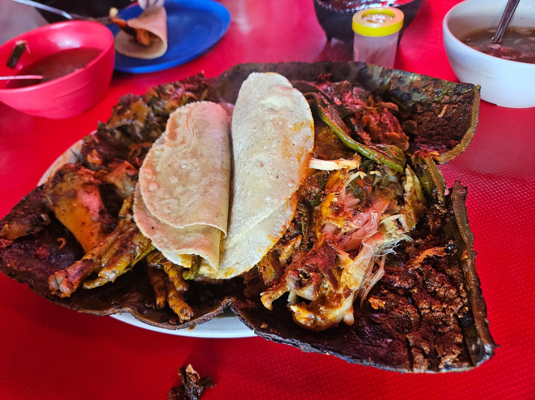 Huellas Mexicanas. Viajes y Experiencias Gastronomicas-墨西哥城必去景点