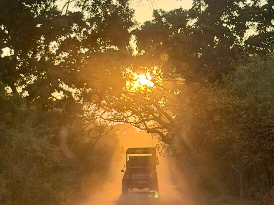 科拉嘉哈小屋主图