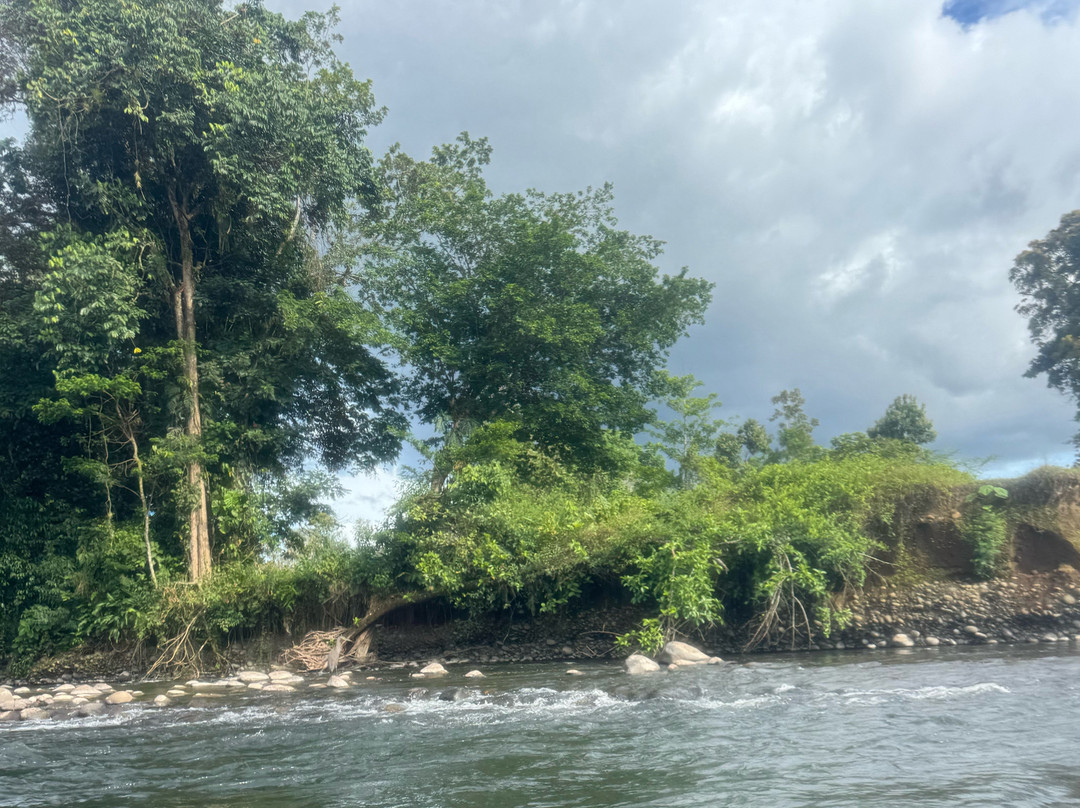 Green Rivers Rafting & Kayaking Company-Puerto Viejo de Sarapiqui必去景点