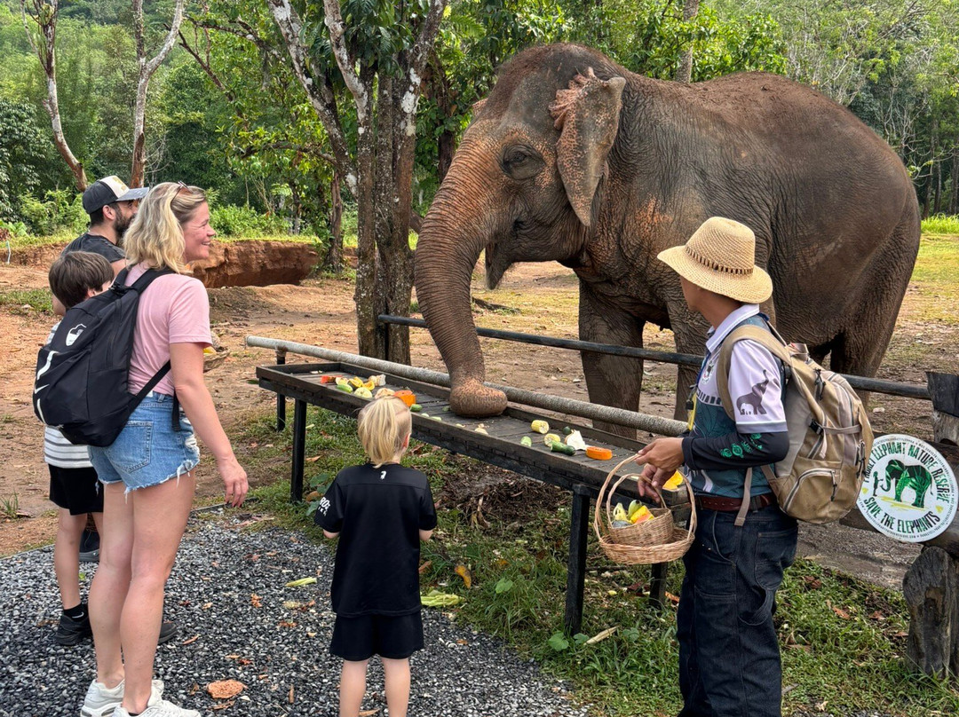 Phuket Elephant Nature Reserve-他朗必去景点