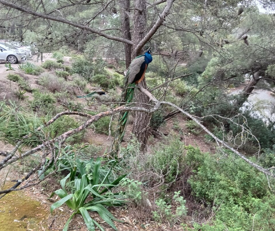 Seven Springs Tunnel-科林比亚必去景点