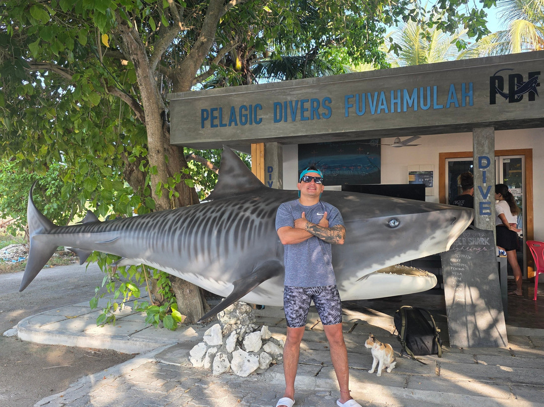 Pelagic Divers Fuvahmulah-Fuvahmulah必去景点