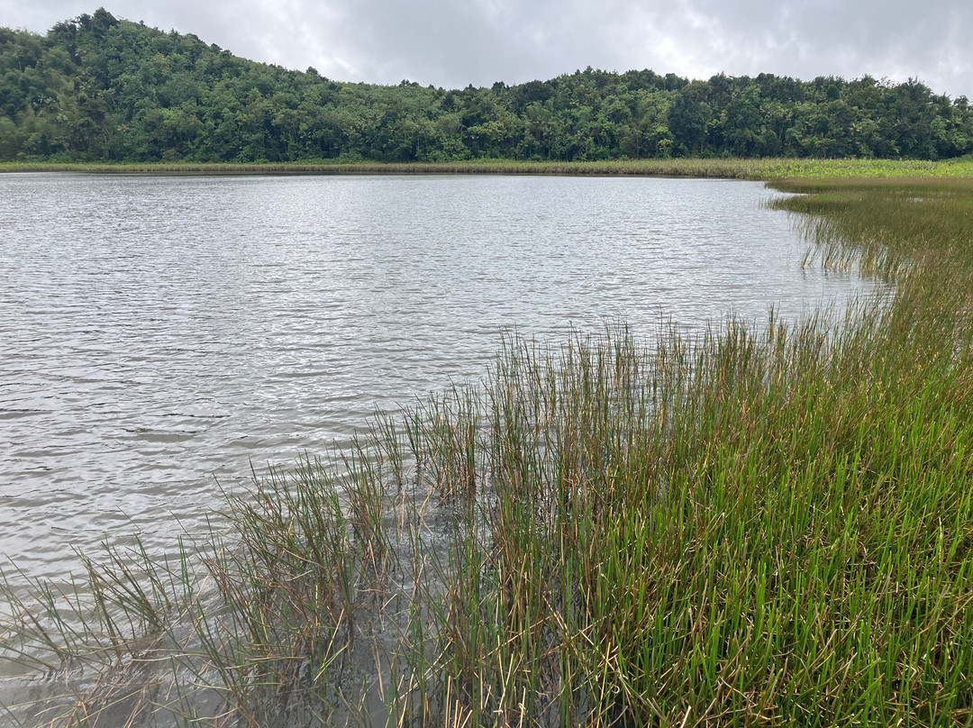Grand Etang Lake-Grand Etang National Park必去景点