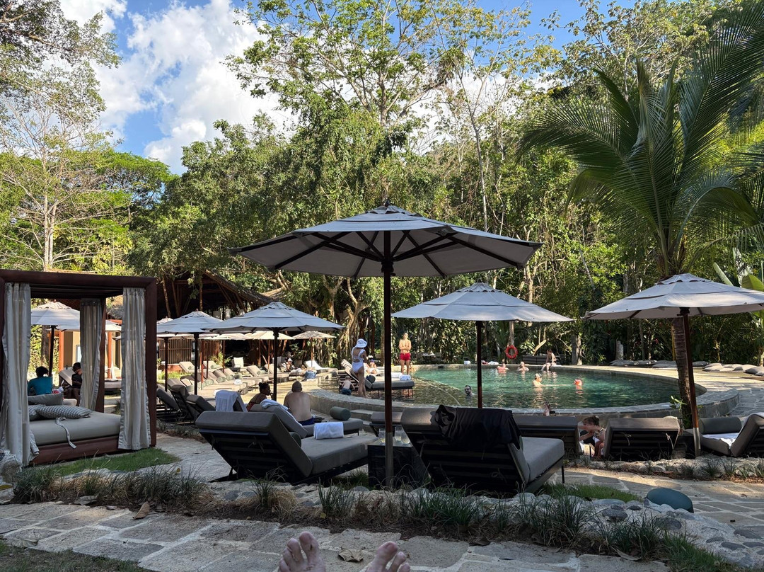 Santa Lucia Jungle Hacienda主图