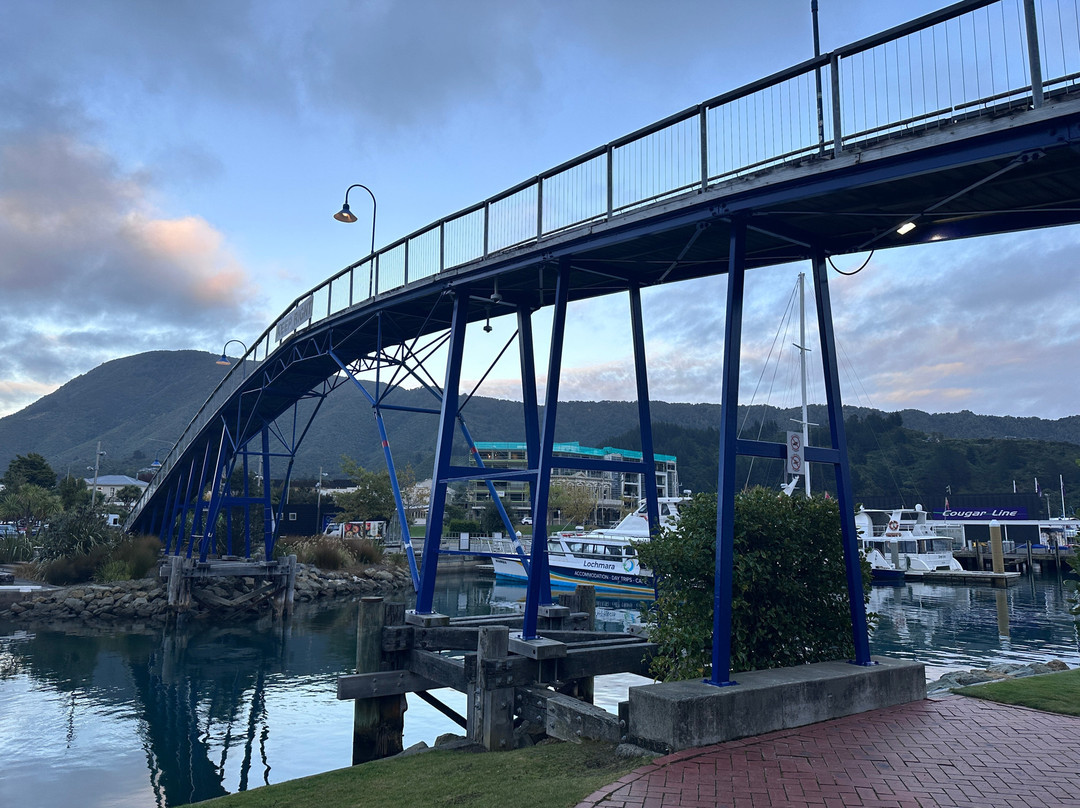 Coathanger Bridge-皮克顿必去景点