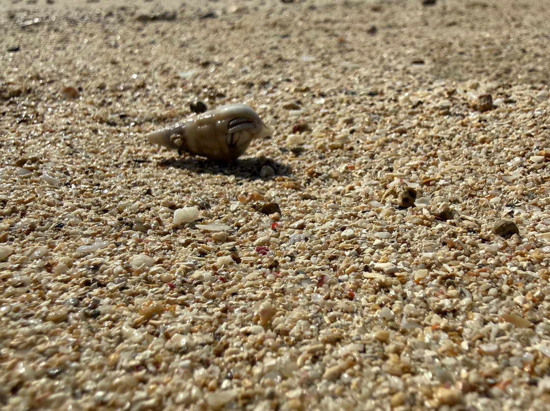Jolly Buoy Island-Manjery必去景点