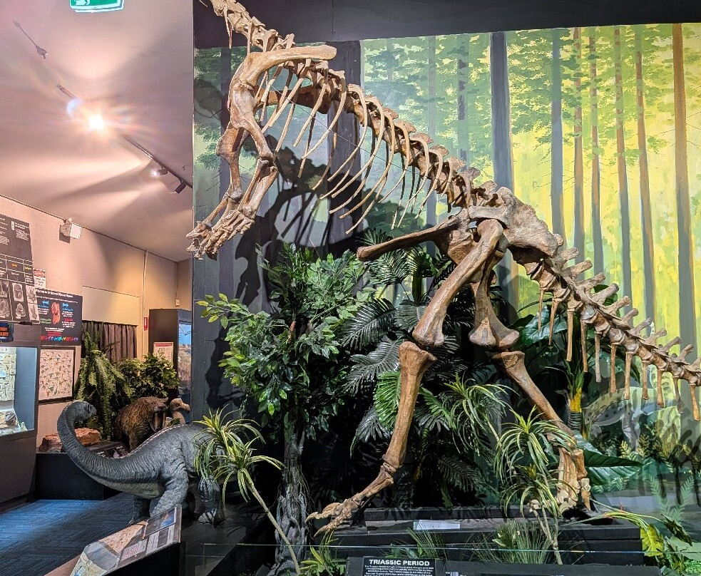 The National Dinosaur Museum-尼克斯必去景点