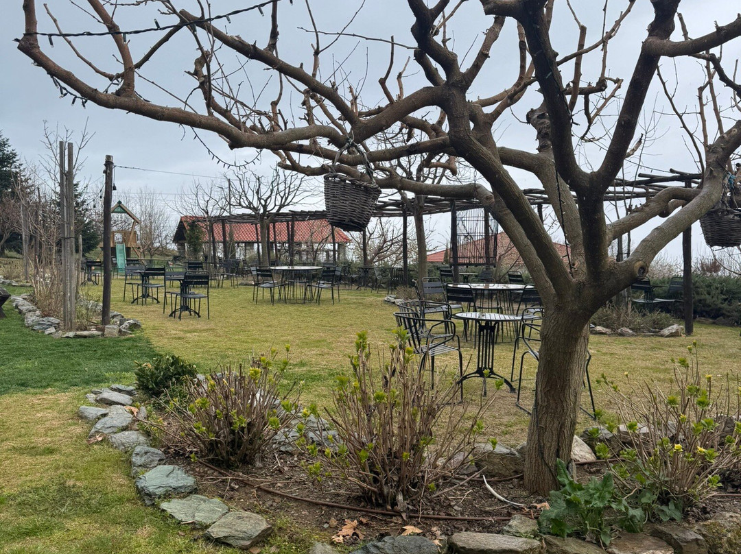 Karaiskos Farm-沃洛斯必去景点