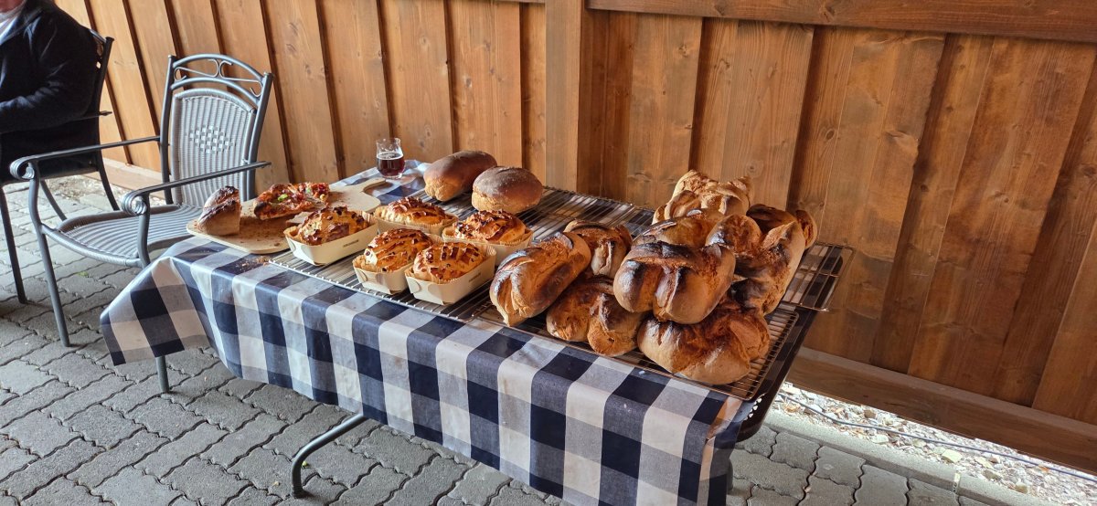 Panorama Hotel Albus-官方