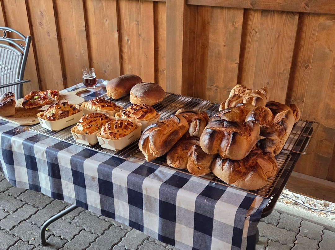 Panorama Hotel Albus主图