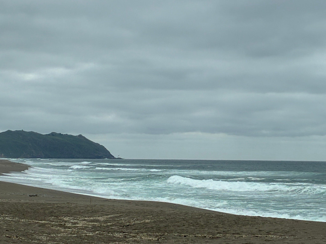 Point Reyes National Seashore-Point Reyes Station必去景点