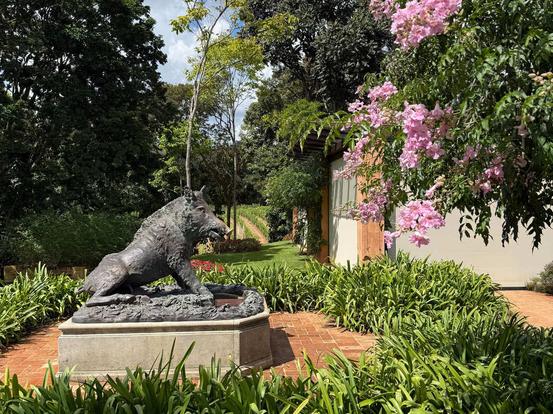 Vinícola Guaspari-Espirito Santo Do Pinhal必去景点