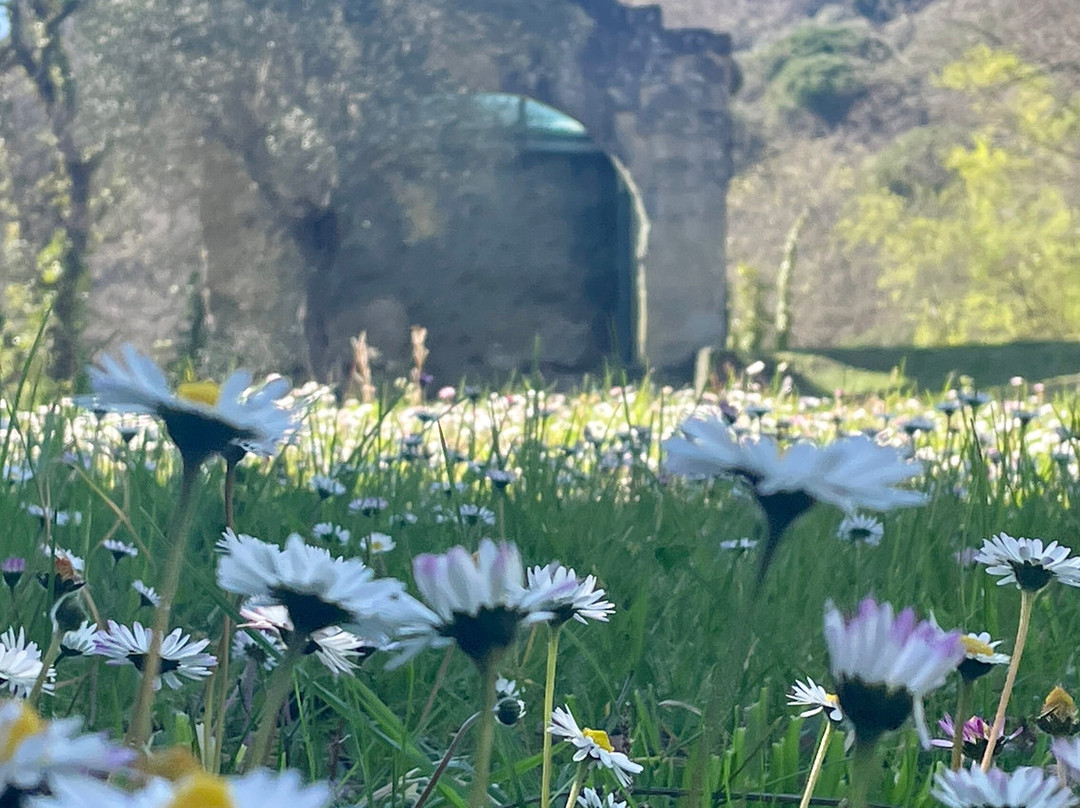 Torre di Vernazzano-Tuoro sul Trasimeno必去景点